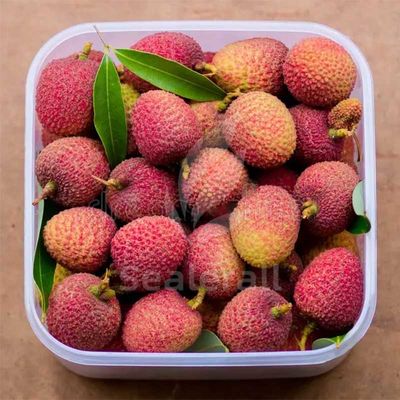 কেনা স্টেইনলেস স্টীল ফ্রিজ লিচির জন্য বায়ুমণ্ডলীয় প্যাকেজিং মেশিন অনলাইনে উৎপাদন
